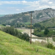 Sintria Zatt (10)